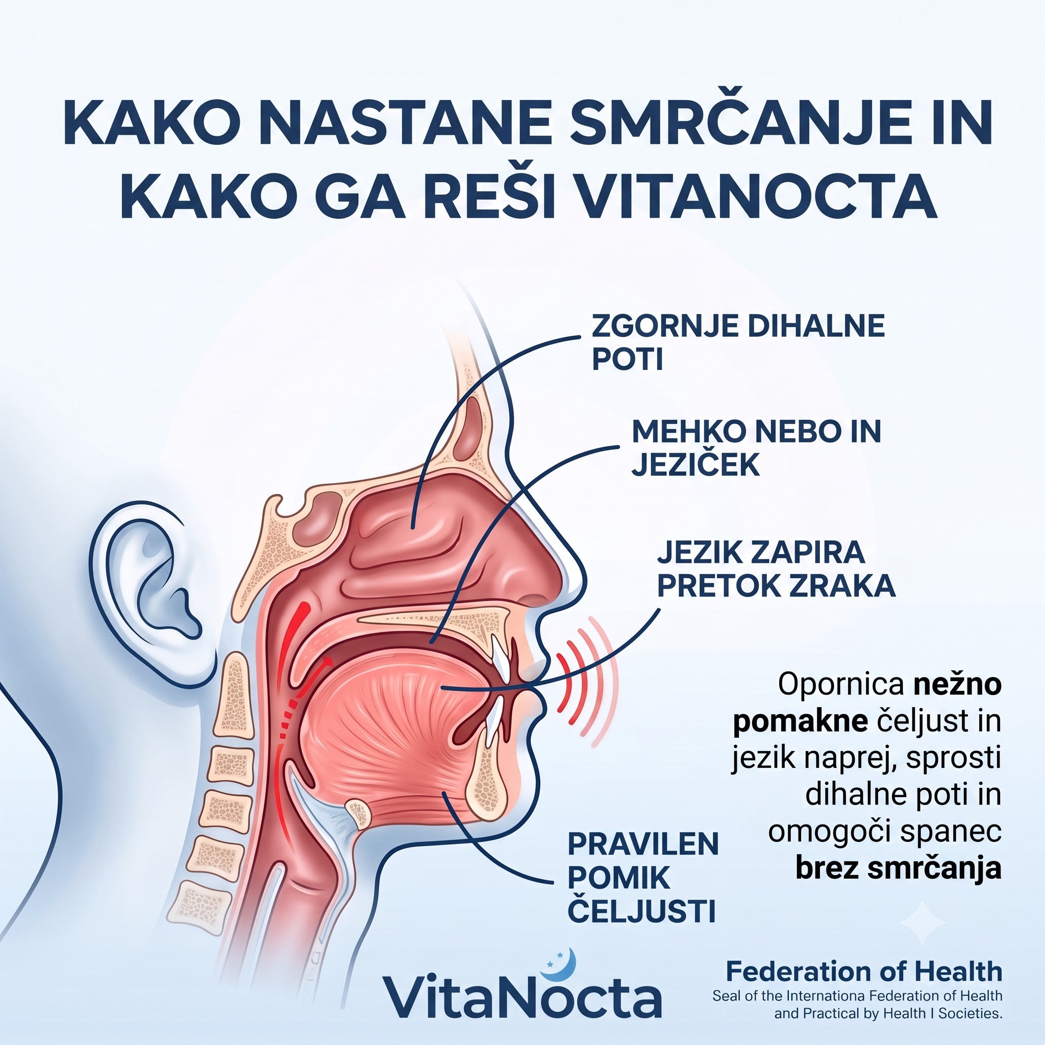 Kako deluje VitaNocta